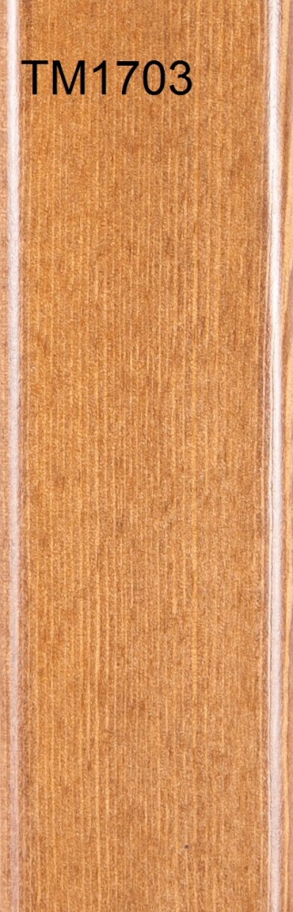 TM1703
